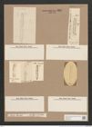 Navicula icostauron (Ehr.?) (de-Toni-Nr.: Genus 1, Species 384) Zeichnungen Sammlung Grunow Nr. 862 (NHMW-BOT-W0367308)